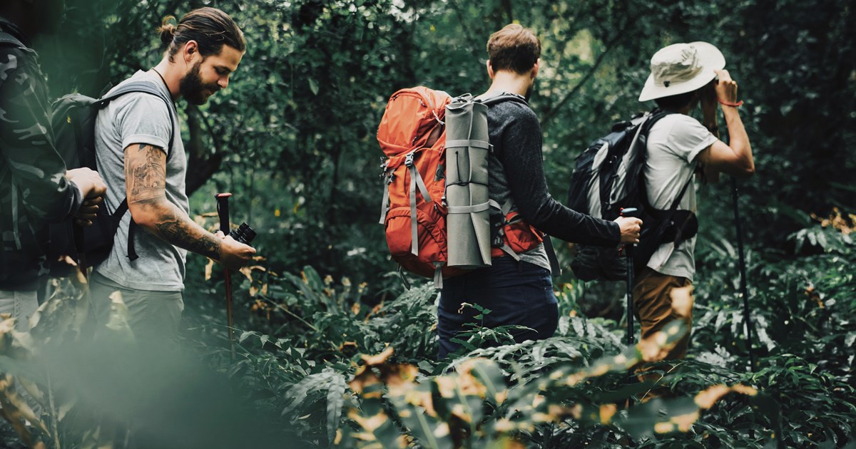 Students on a field trip