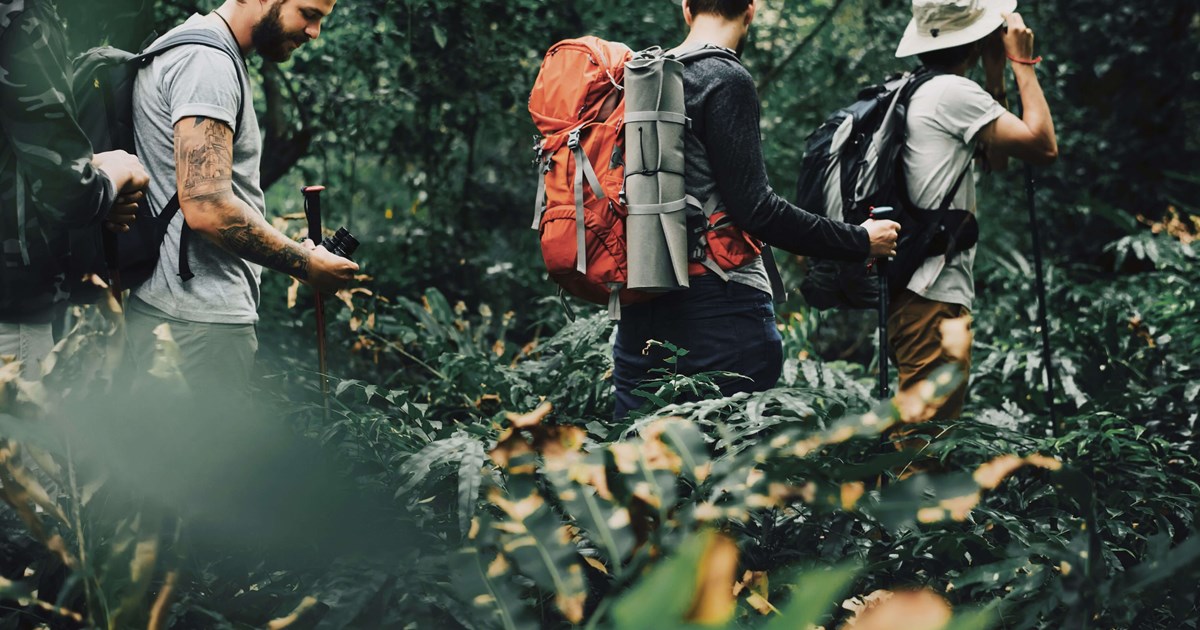 Students on field trip